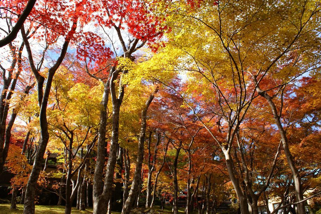 Yutorelo-An Annex Hakone Zewnętrze zdjęcie
