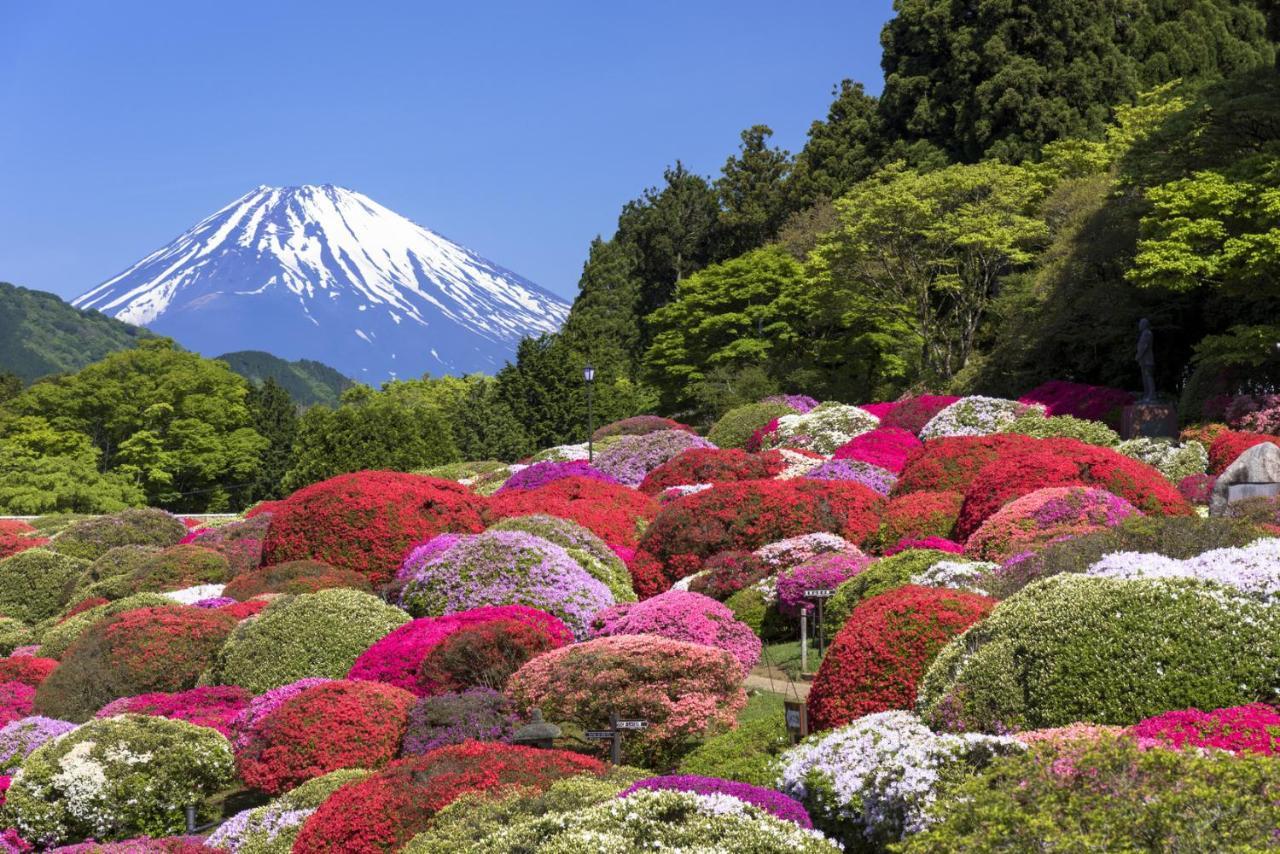 Yutorelo-An Annex Hakone Zewnętrze zdjęcie